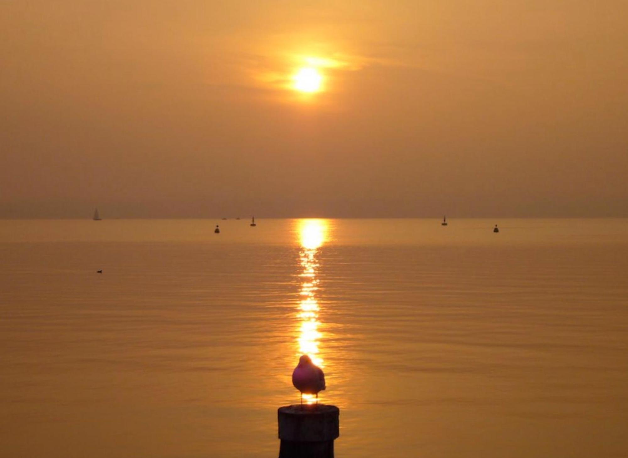 The Riva Apartment Sirmione Exterior foto
